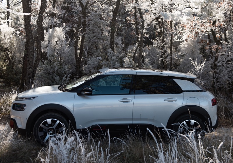 Citroen C4 Cactus Origins