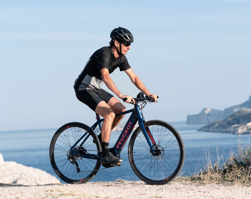 Peugeot bici elettrica T01 D10 PowerTube