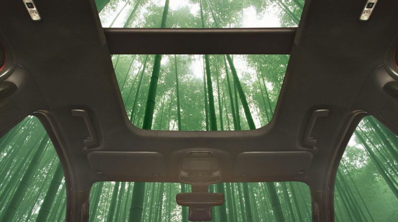Automobili in bambu: potrebbe arrivare presto qualcosa a riguardo.