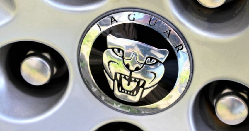 Jaguar 2025