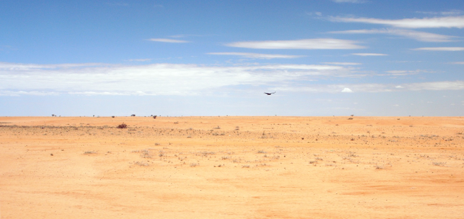 Deserto